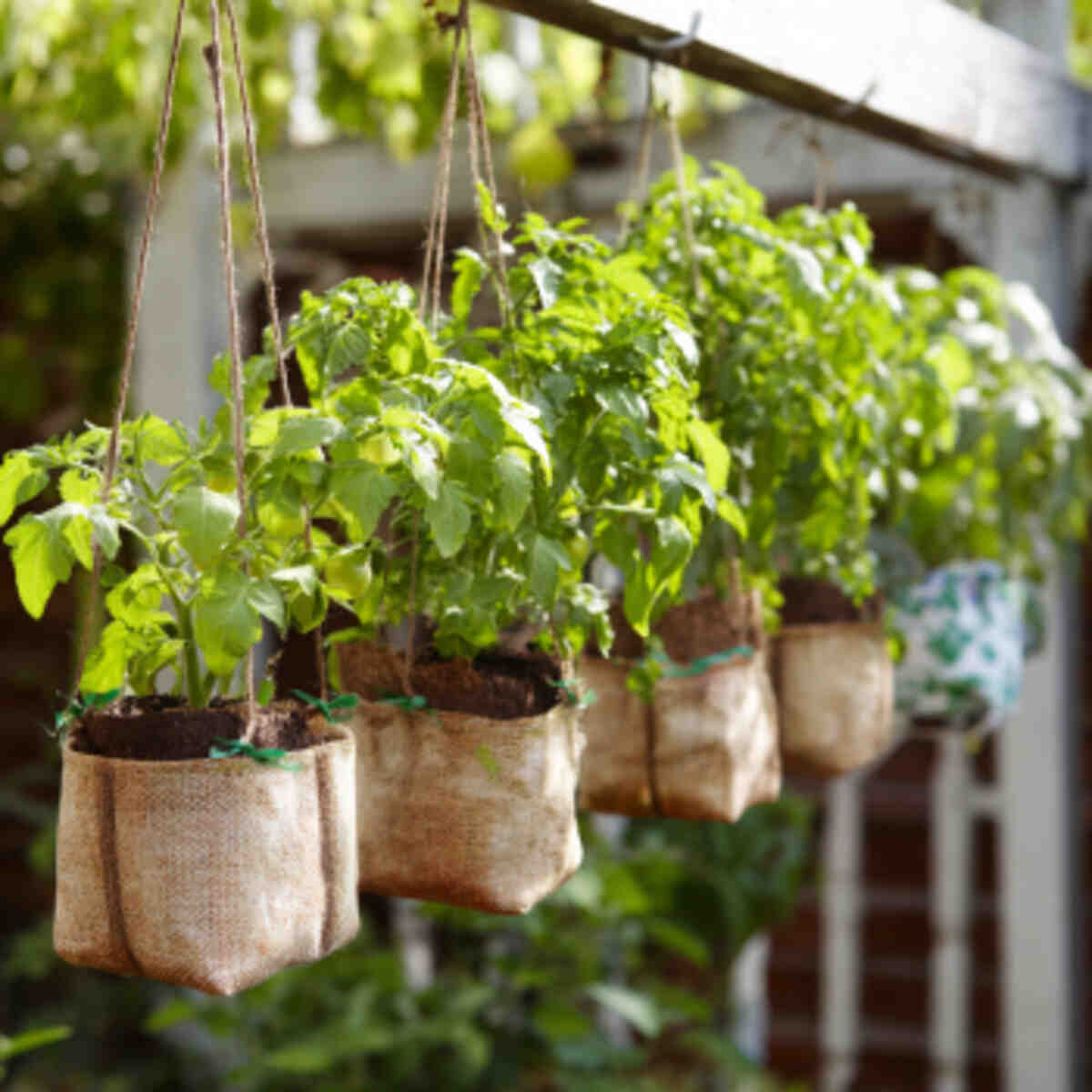 Hanging Fabric Grow Pouch