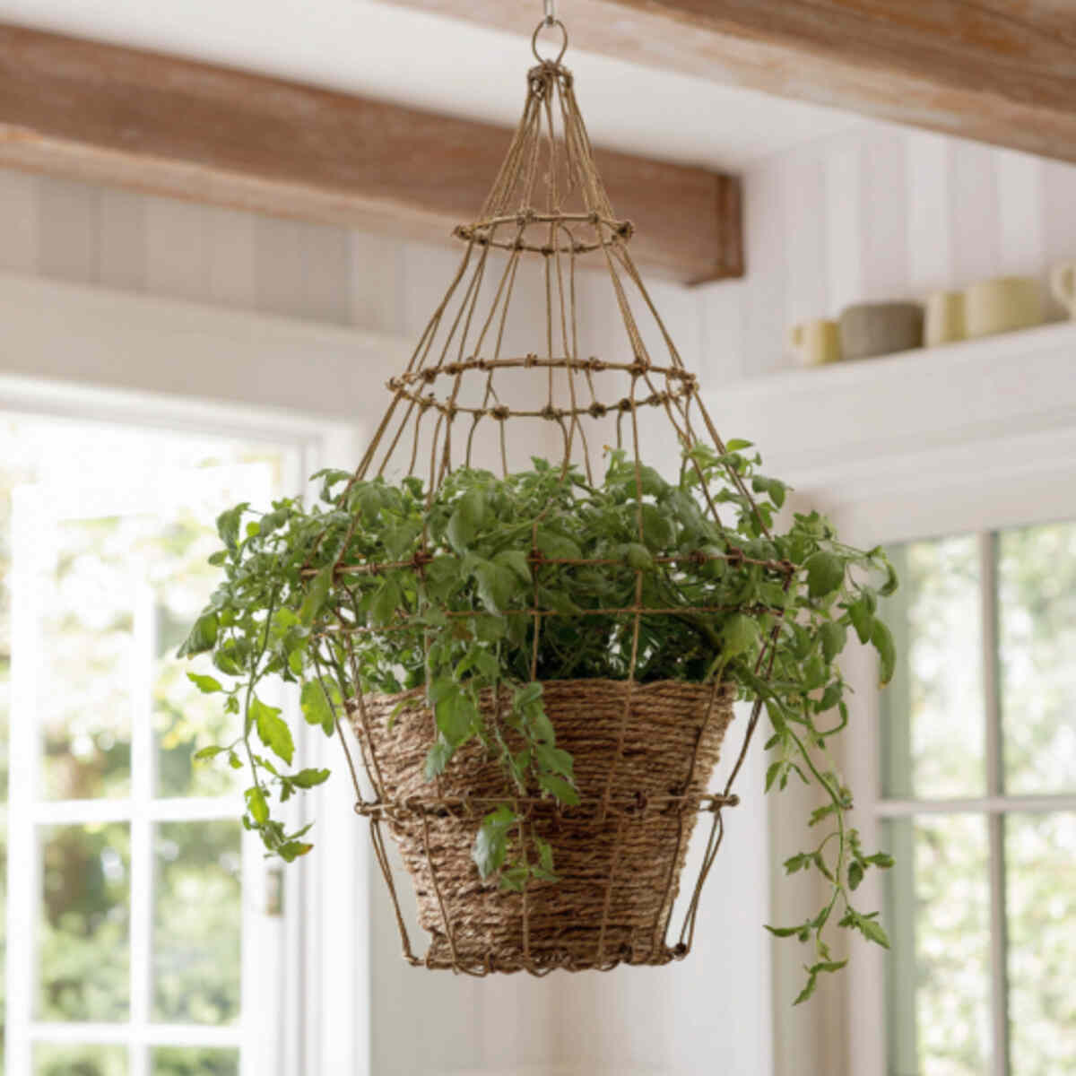 Hanging Tomato Cage Basket