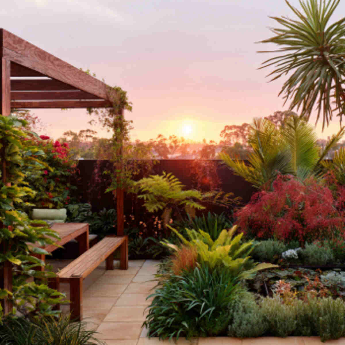 Heat-Loving Tropical Corner