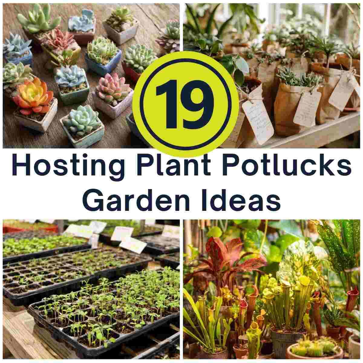 Hosting Plant Potlucks 