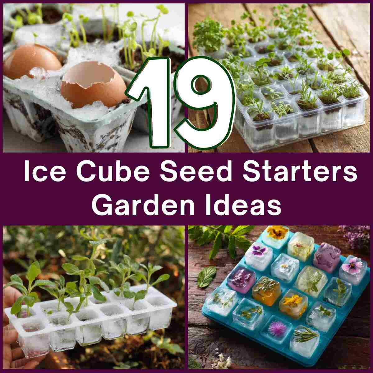 Ice Cube Seed Starters Ideas