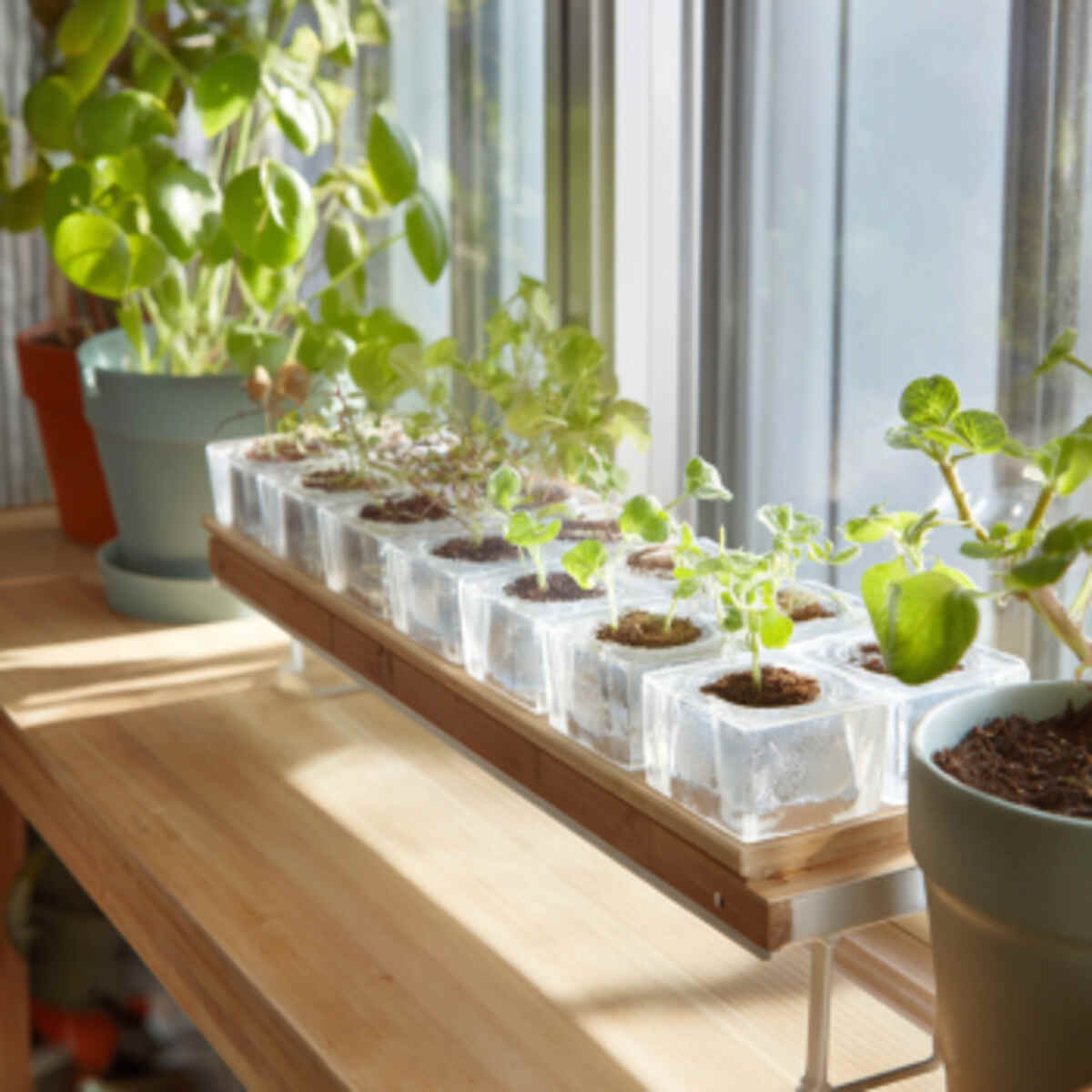 Indoor Light Shelf with Ice Cube Trays