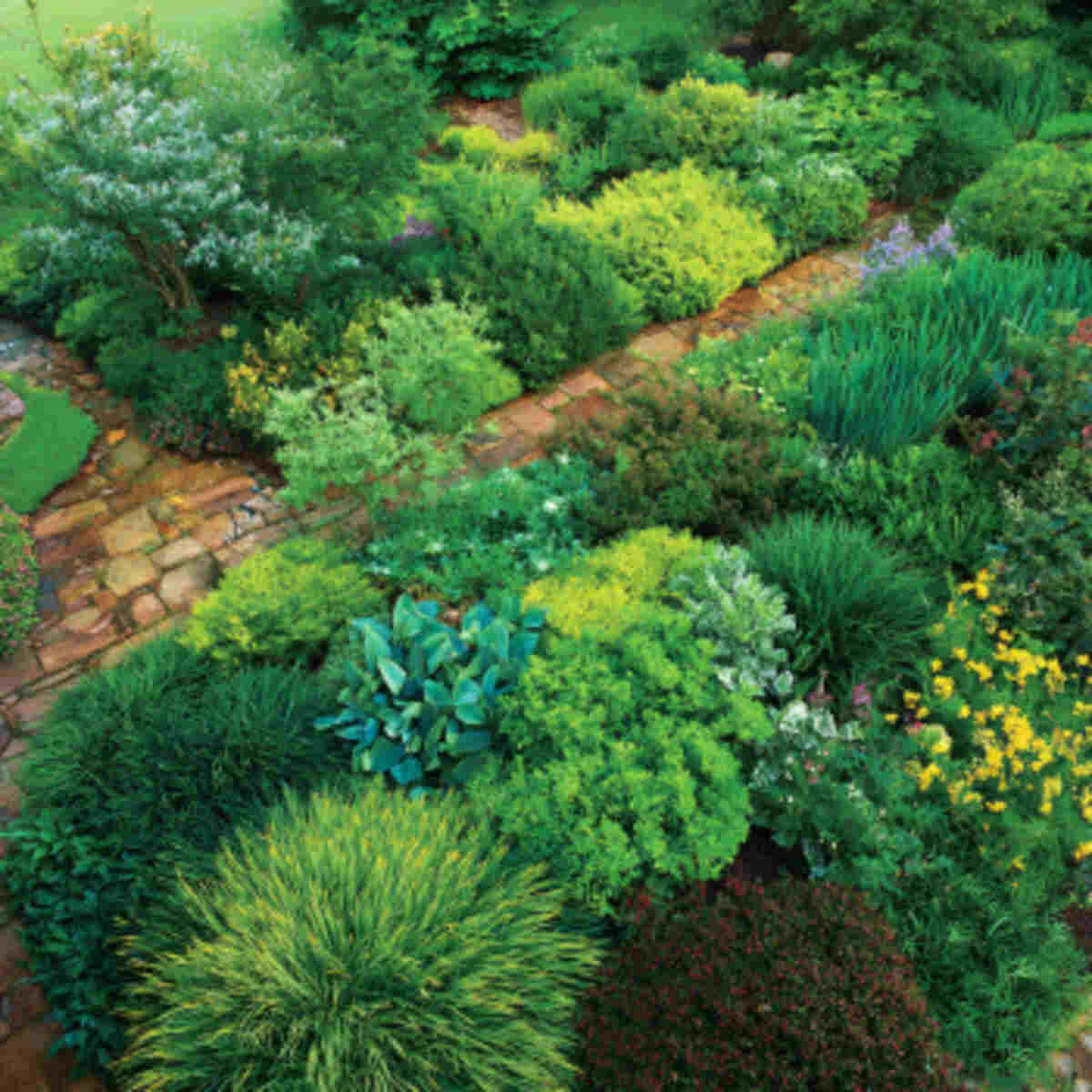 Layered Planting Zones for Runoff Control