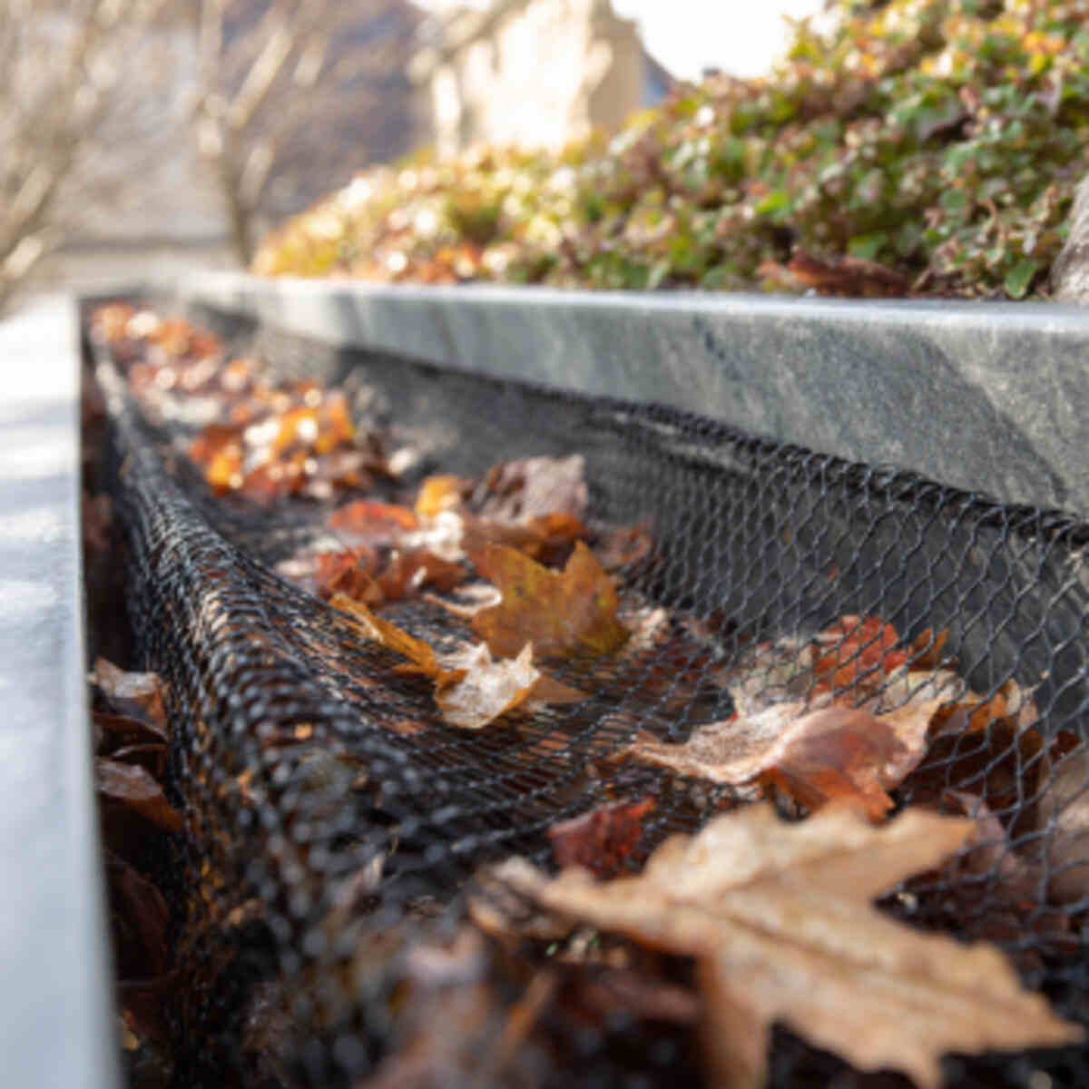 Leaf and Debris Catcher Net