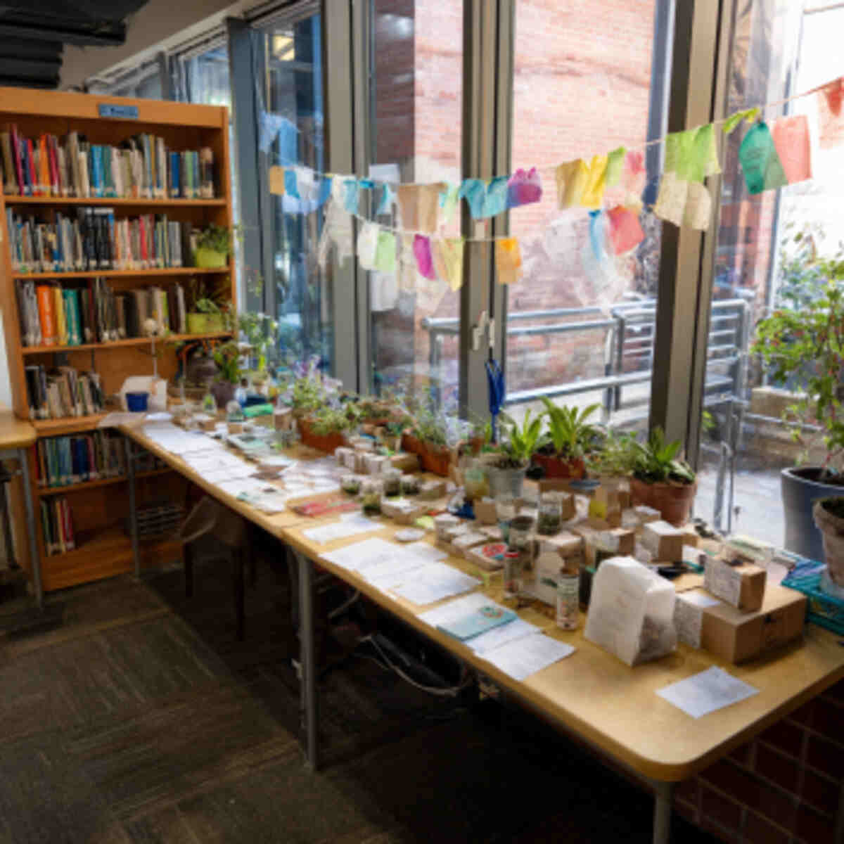 Library Seed Swap Station