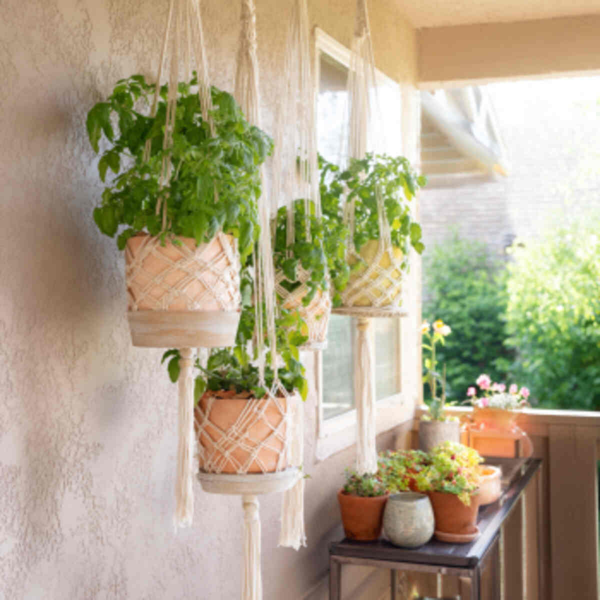 Macramé Plant Hanger with Plastic Pot