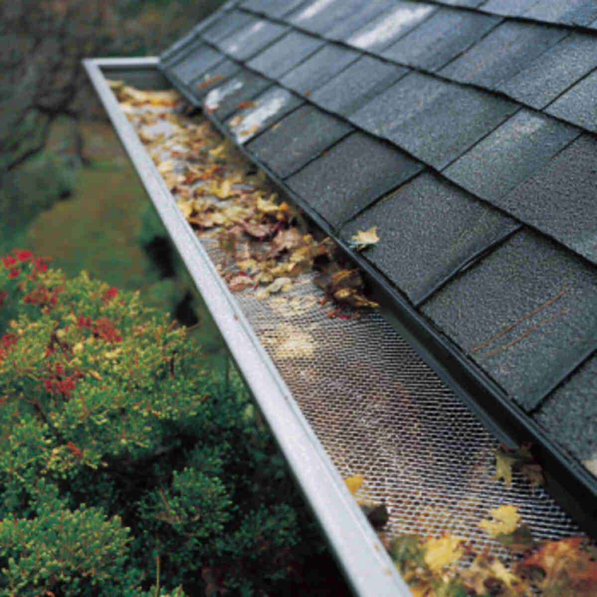 Mesh Screen Gutter Guards