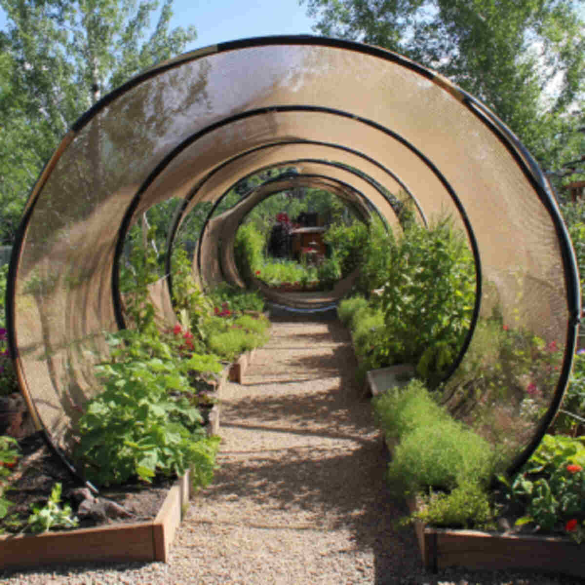 PVC Pipe Hoop Tunnel with Shade Cloth