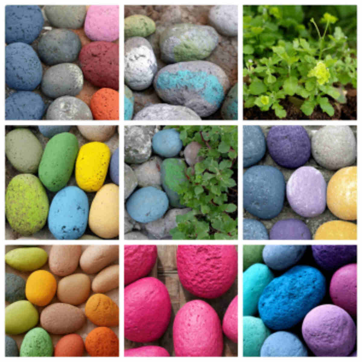 Painted Pebbles or Stones