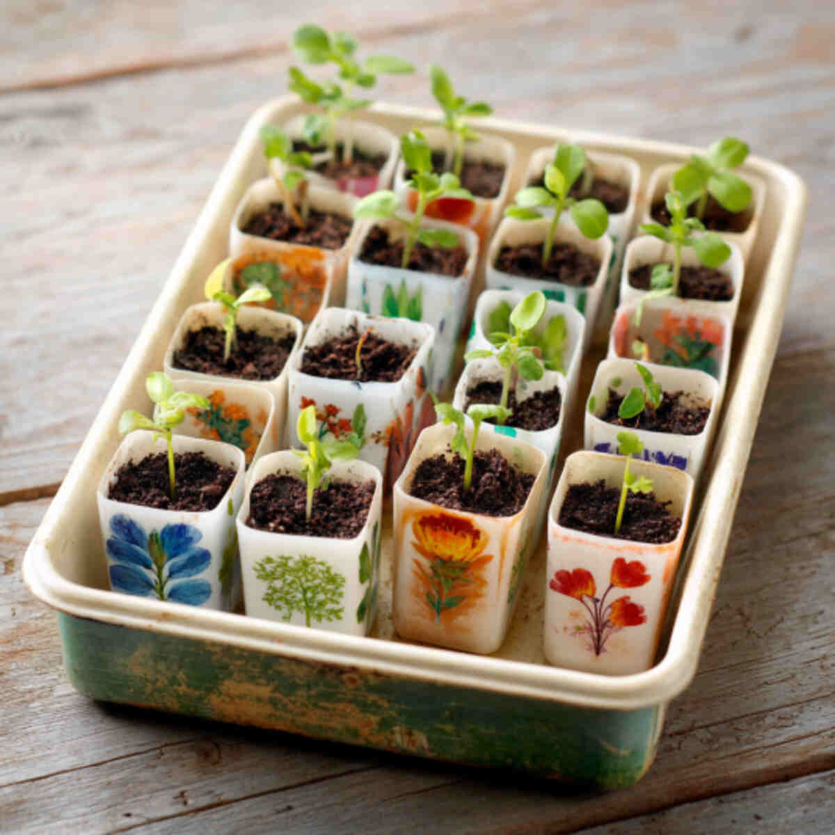 Painted Tray Seed Markers