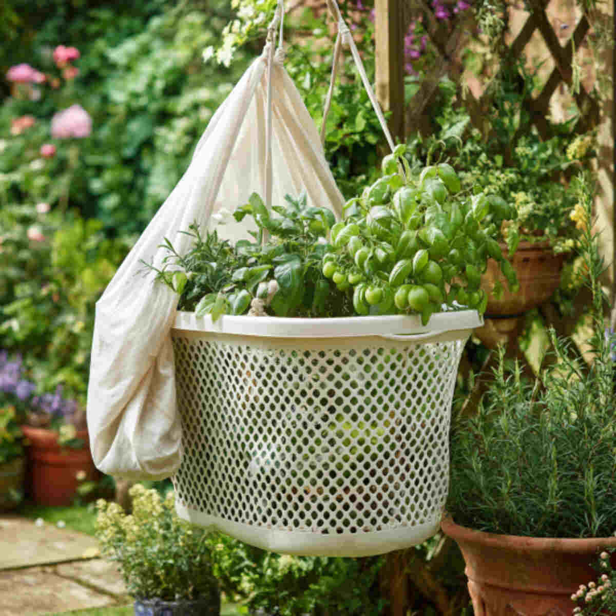 Plastic Laundry Basket with Liner