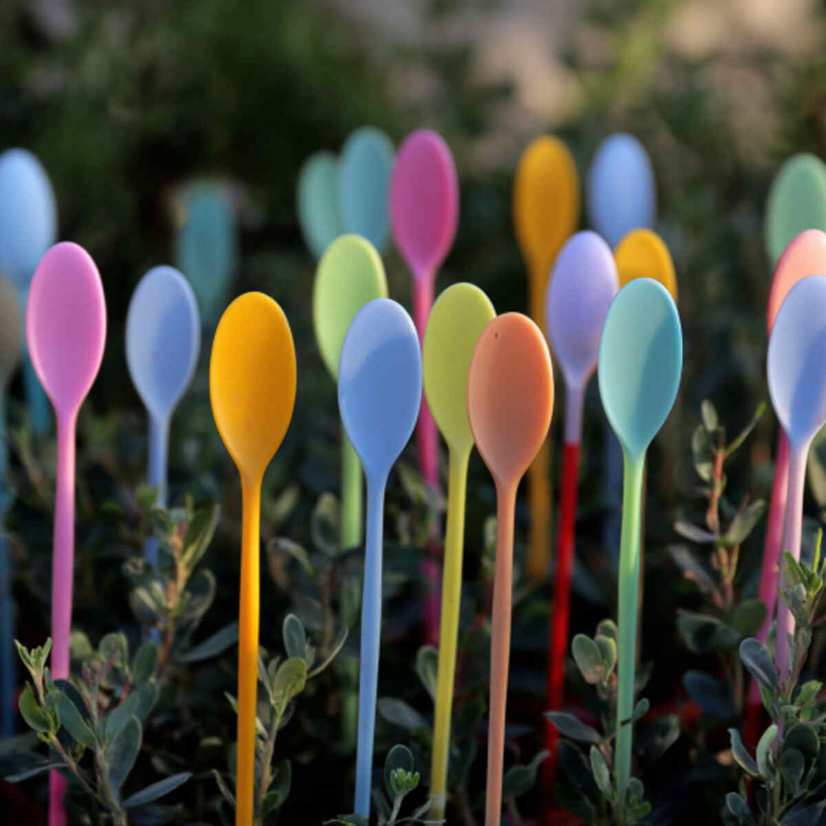 Plastic Spoon Heads with Colored Handles