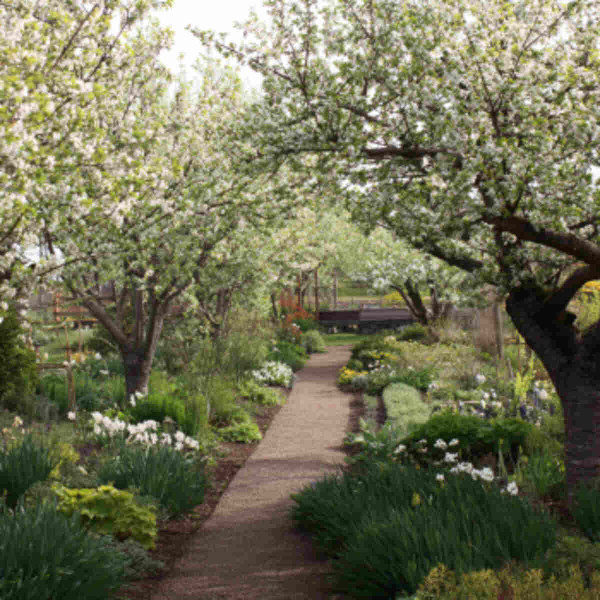 Pollinator Pruning Path