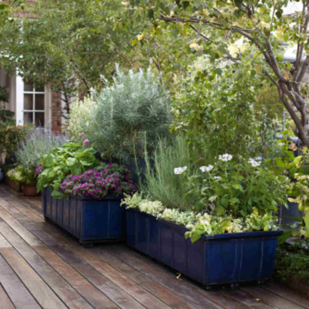 Portable Container Gardens
