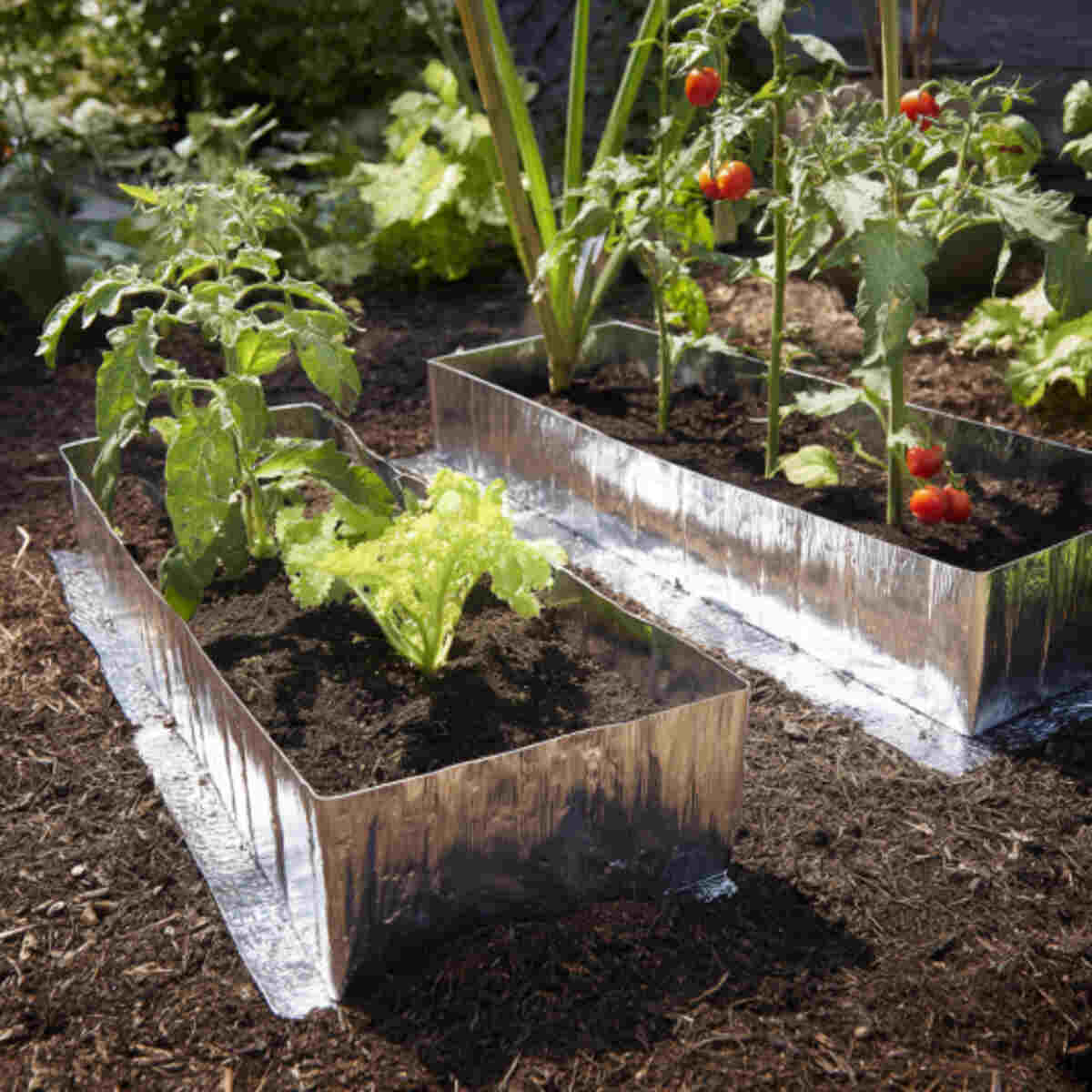 Portable Garden Trays with Reflective Bottoms
