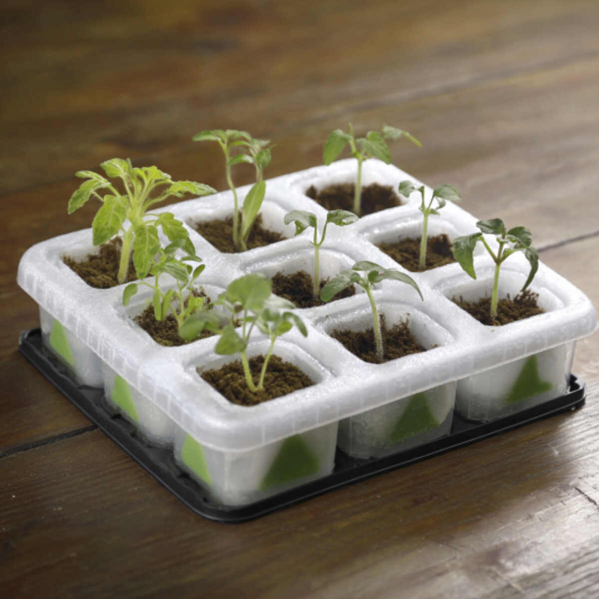 Portable Mini Seedling Nursery