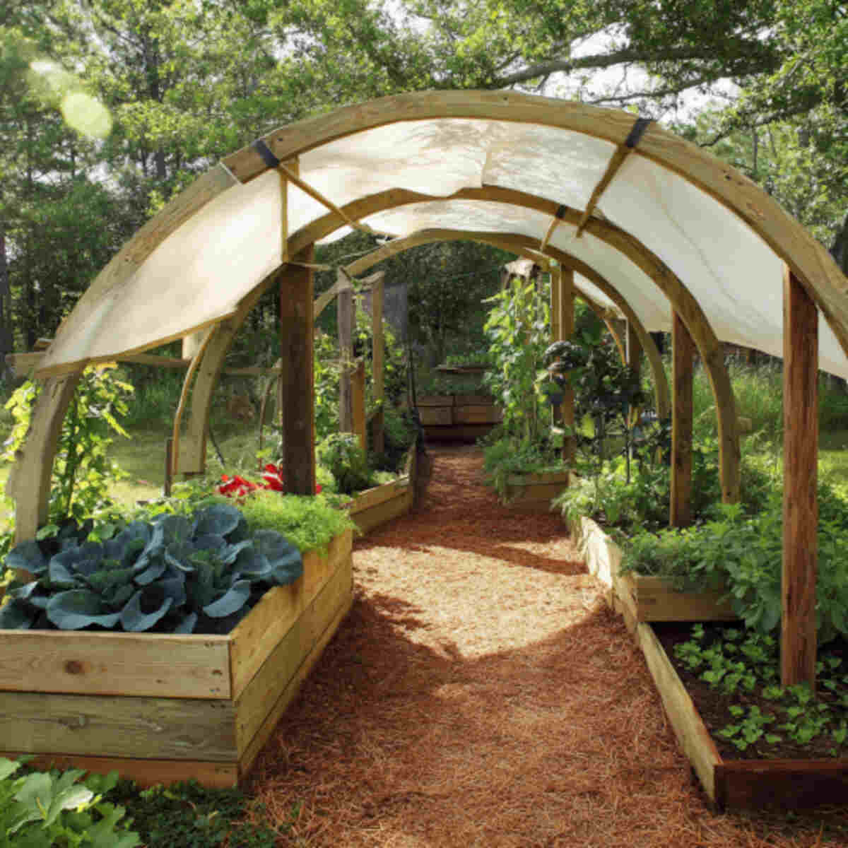 Raised Bed Arch Shade Cover