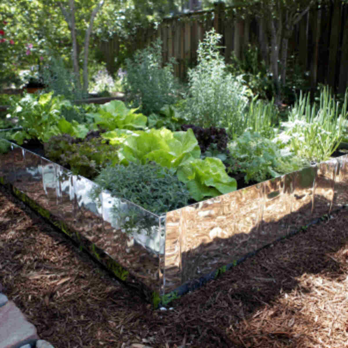 Raised Herb Garden with Reflective Base