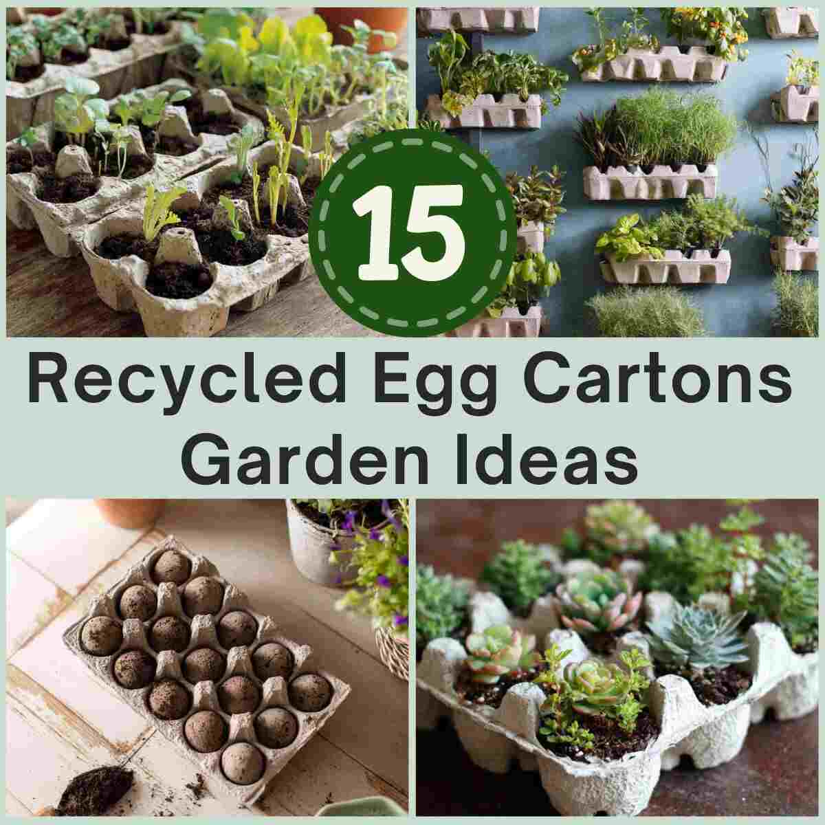 Recycled Egg Cartons Garden Ideas