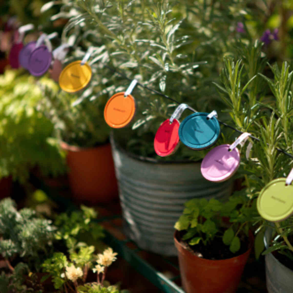 Recycled Can Lid Tags with Paint