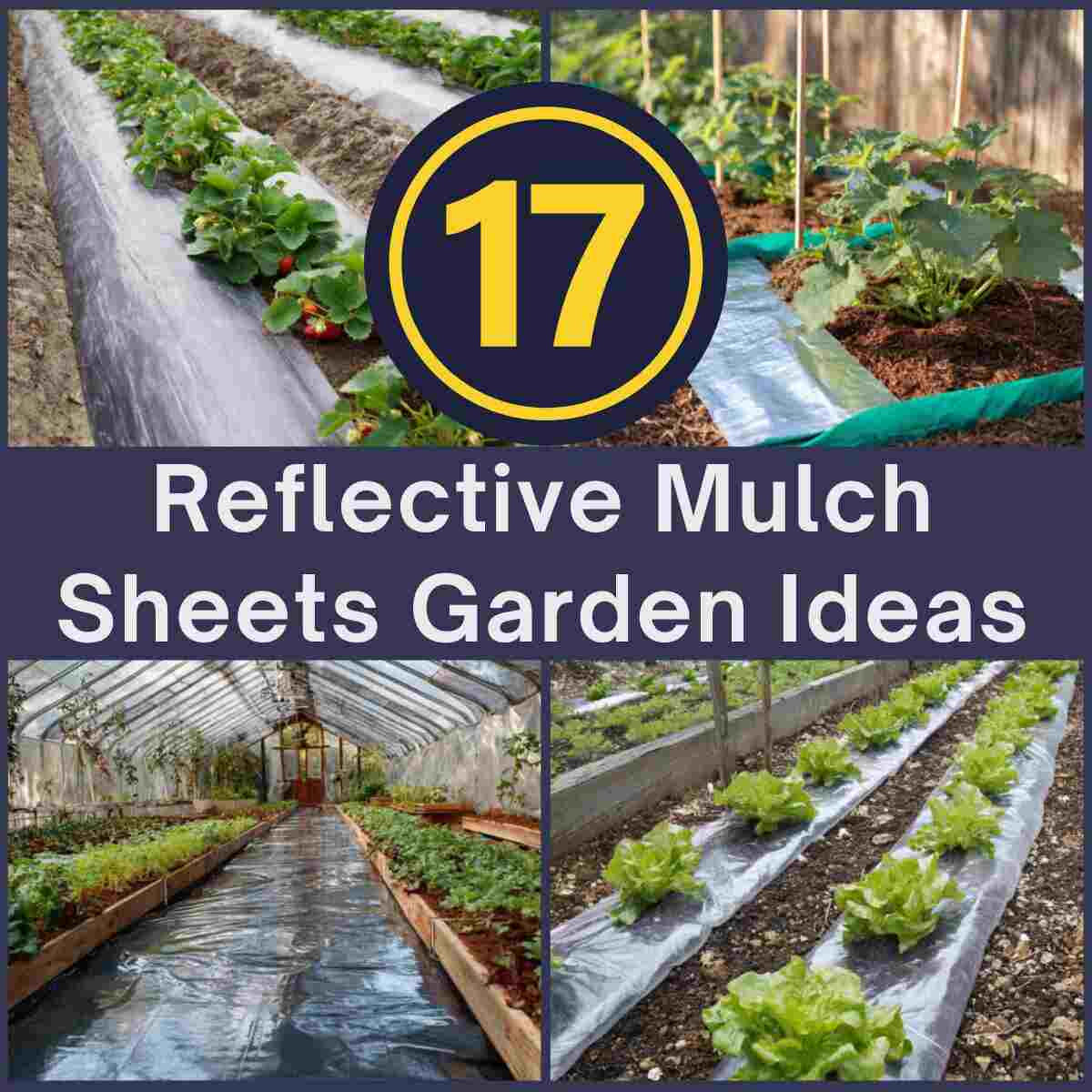 Reflective Mulch Sheets
