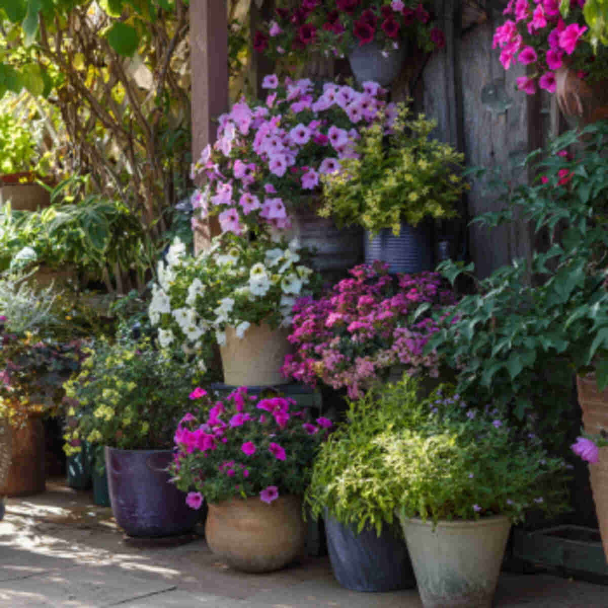 Rotate Blooming Plants Throughout the Seasons for Year-Round Food Sources