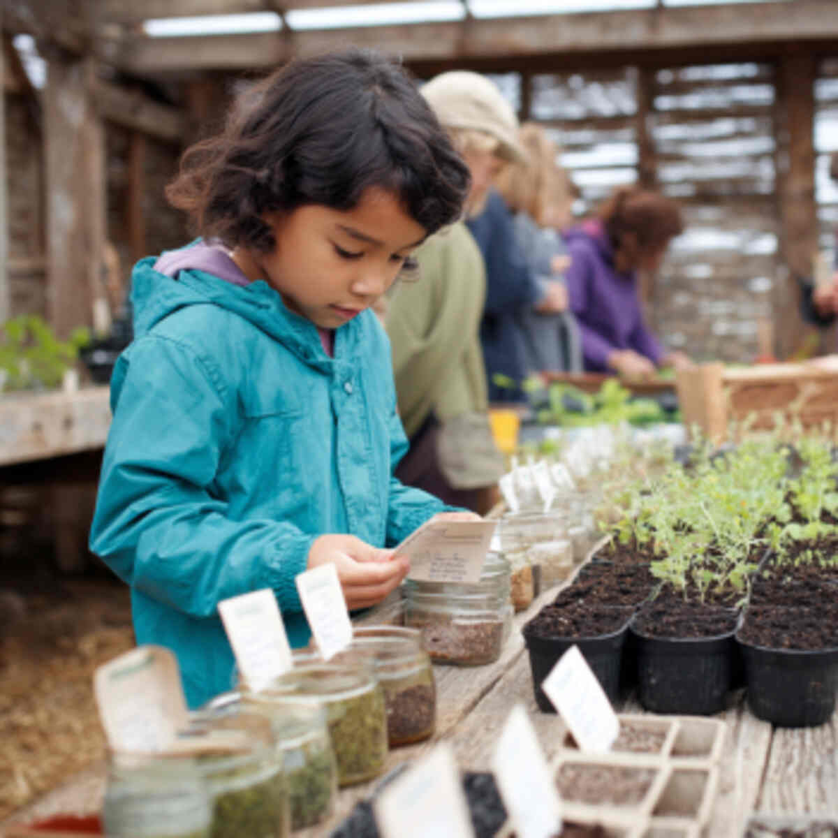 School Garden Seed Swap