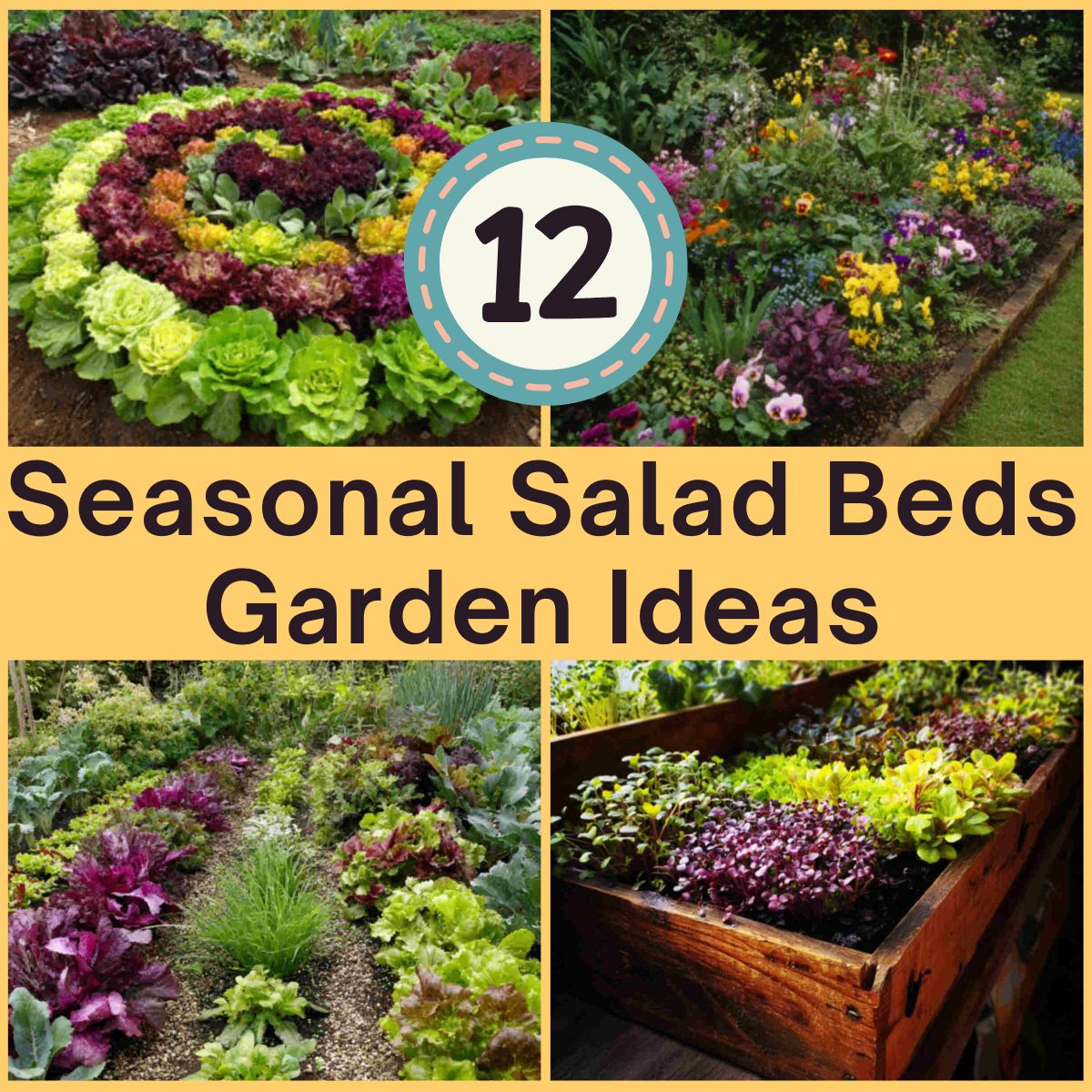 Seasonal Salad Beds