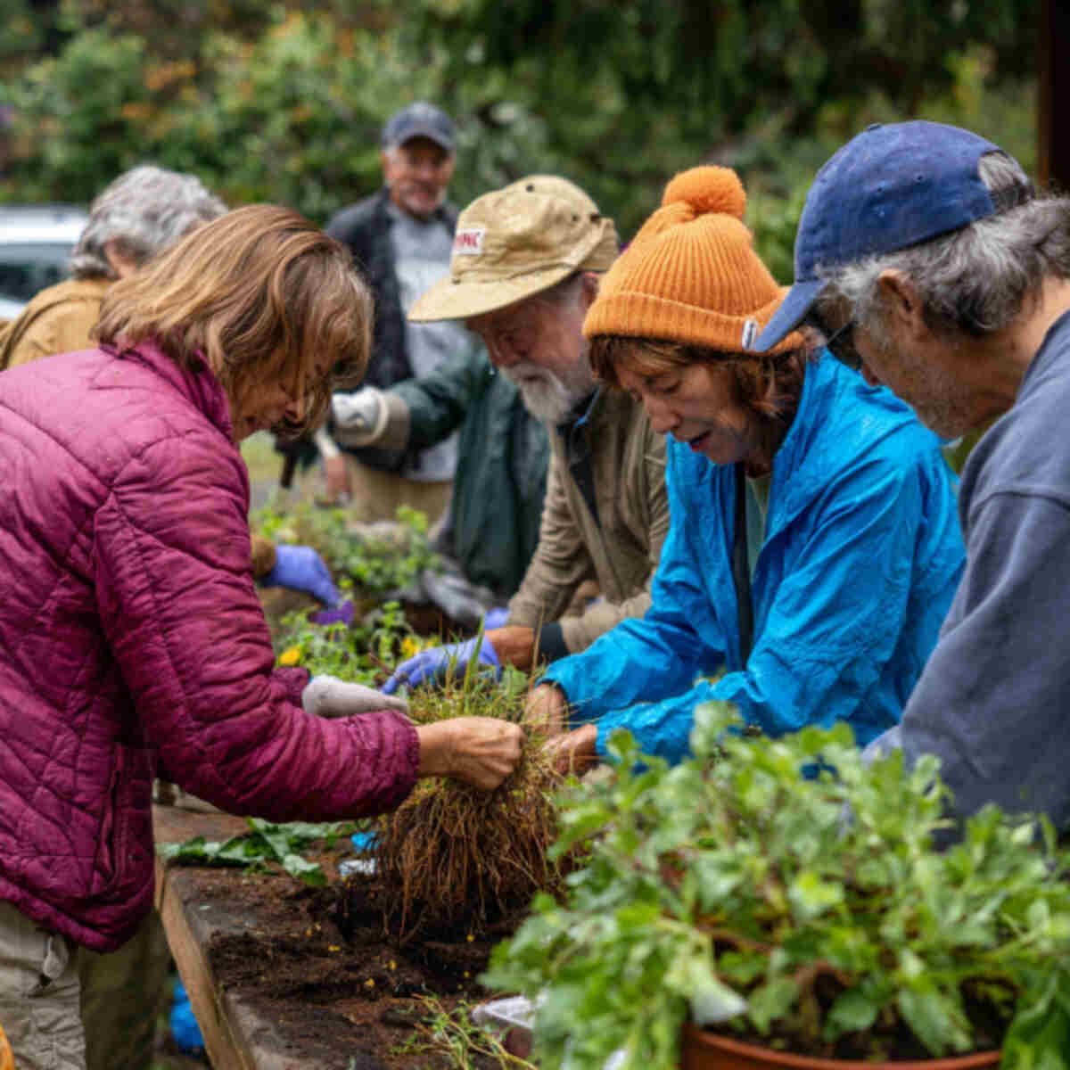 Seed Swap & Planting Demo Event