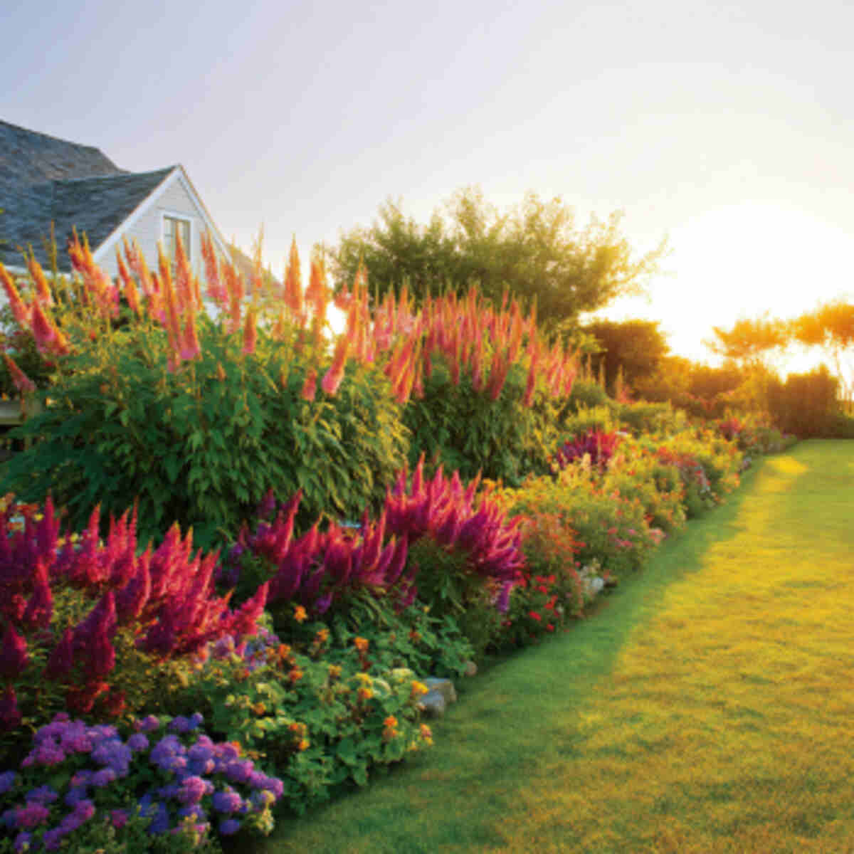 Sunset-Colored Flower Bed