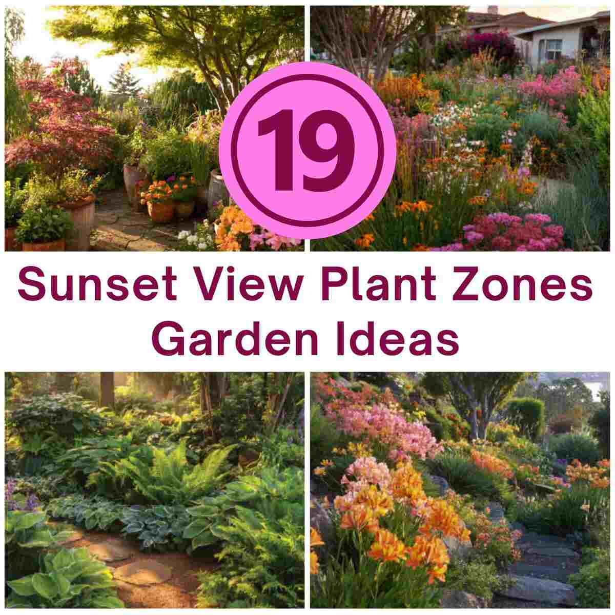 Sunset View Plant Zones Garden Ideas