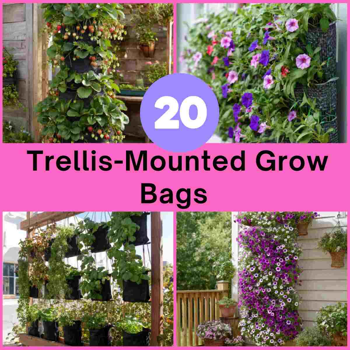 Trellis-Mounted Grow Bag Ideas