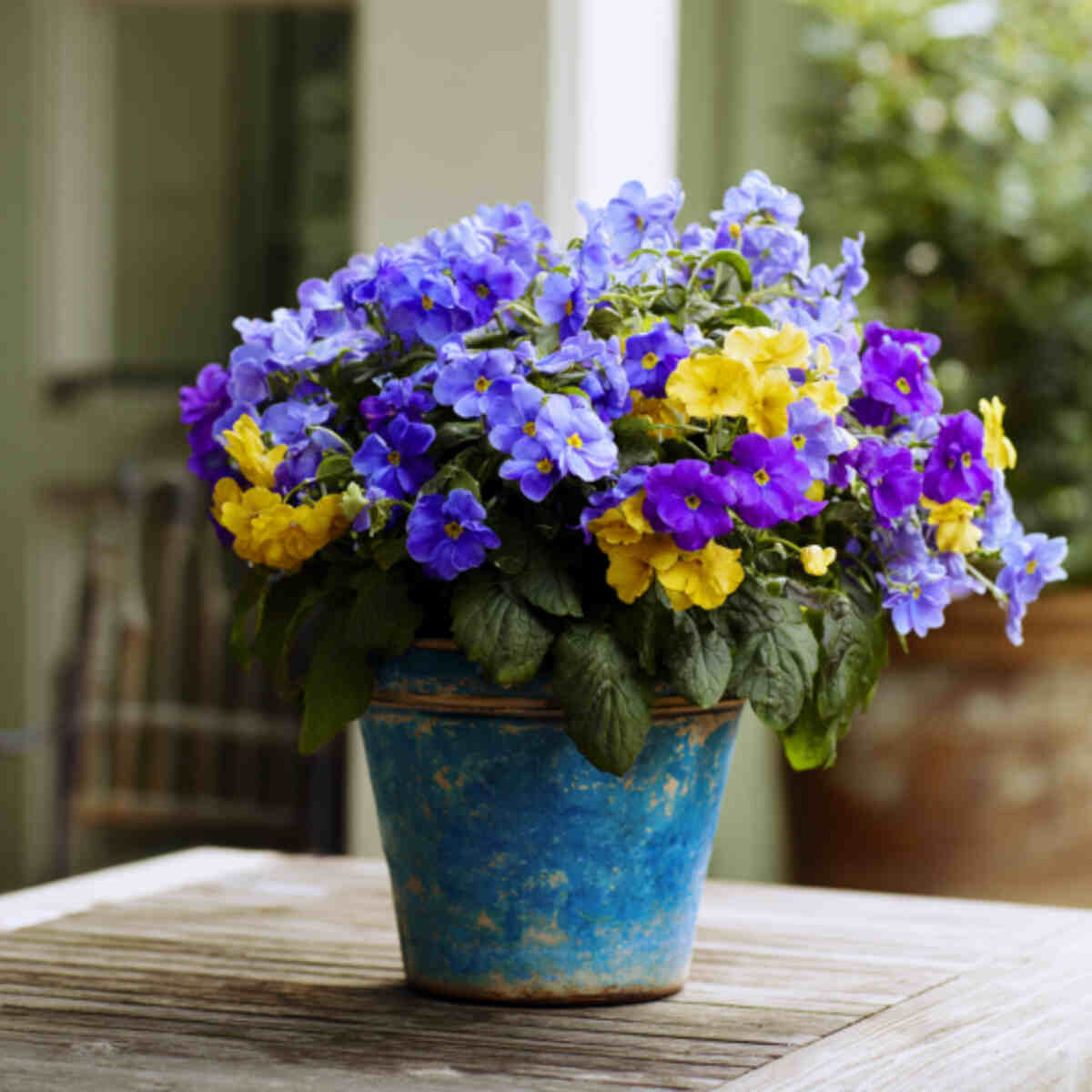 Use Bright-Colored Blooms (Especially Blue, Purple, Yellow)