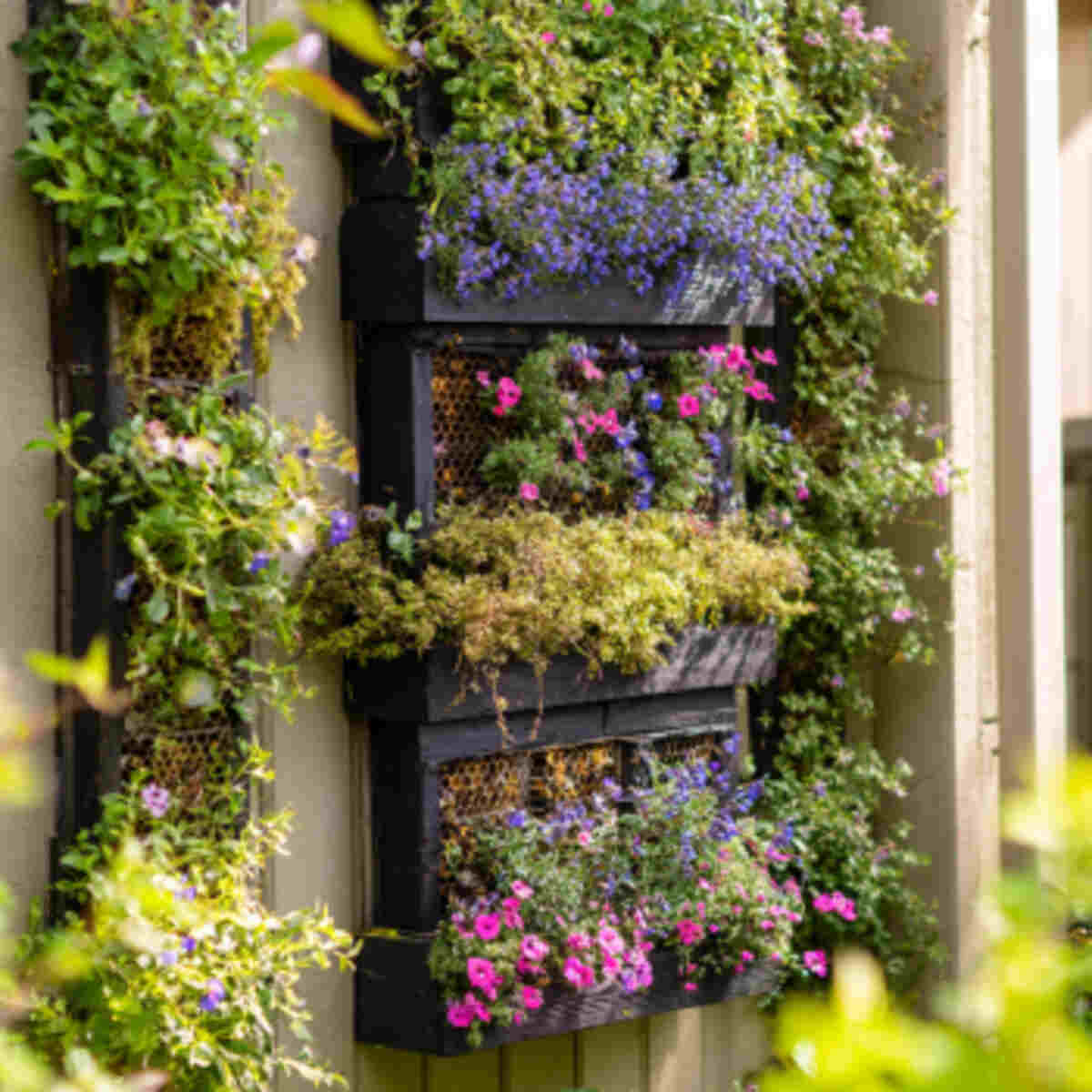 Use Vertical Garden Setups with Pollinator Plants
