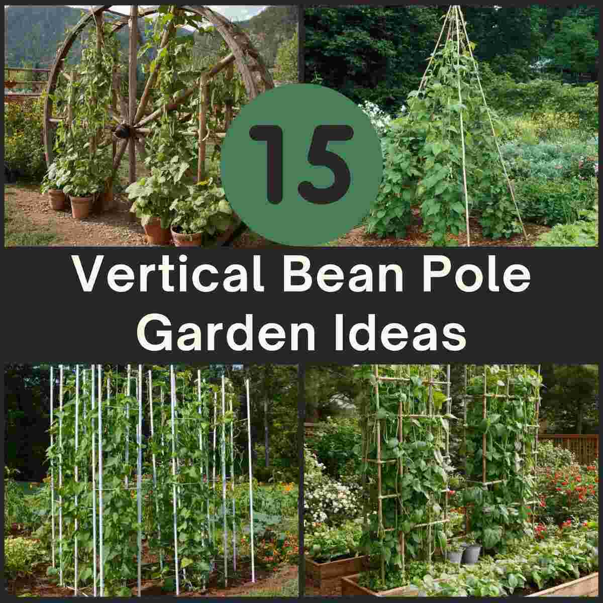 Vertical Bean Pole Ideas