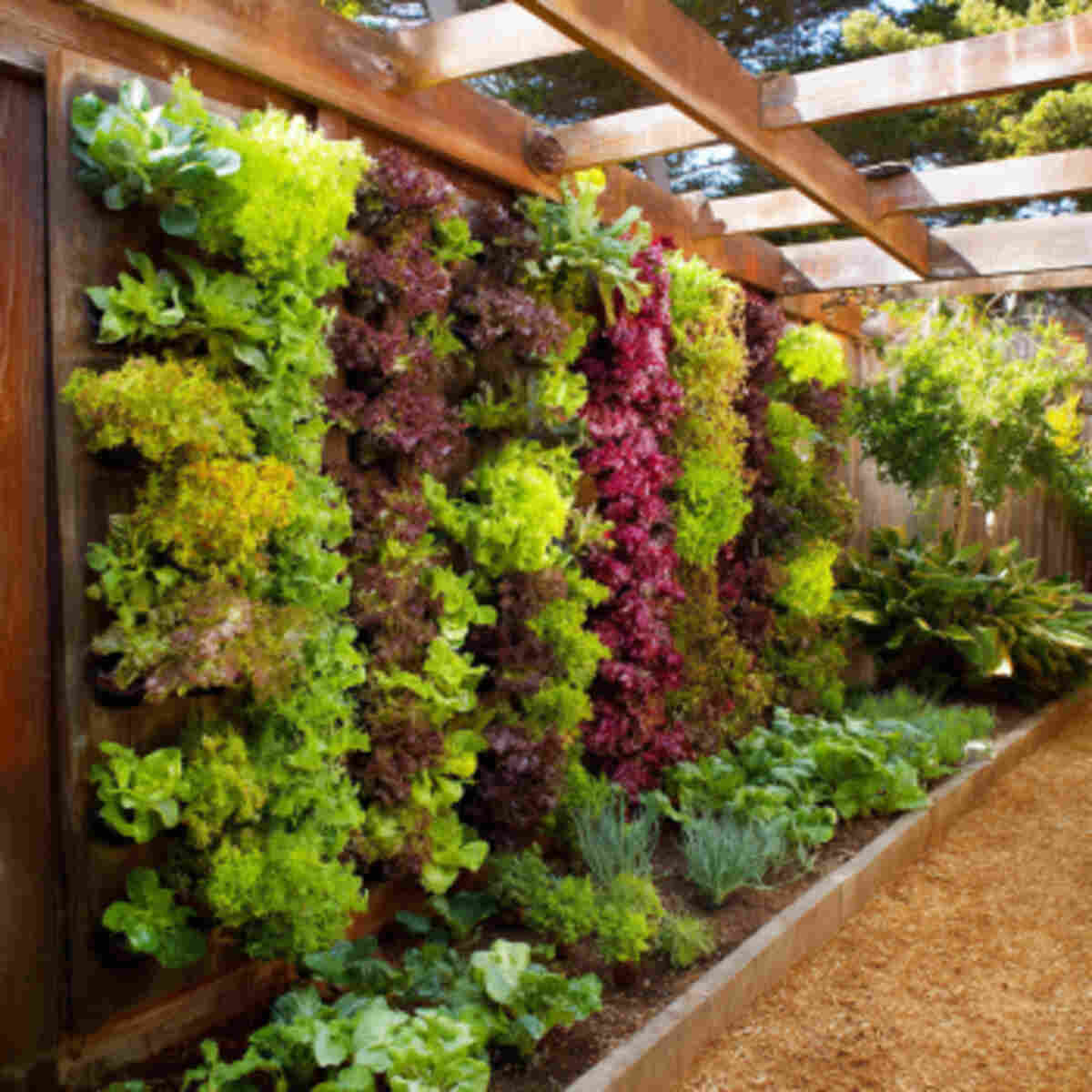Vertical Salad Wall