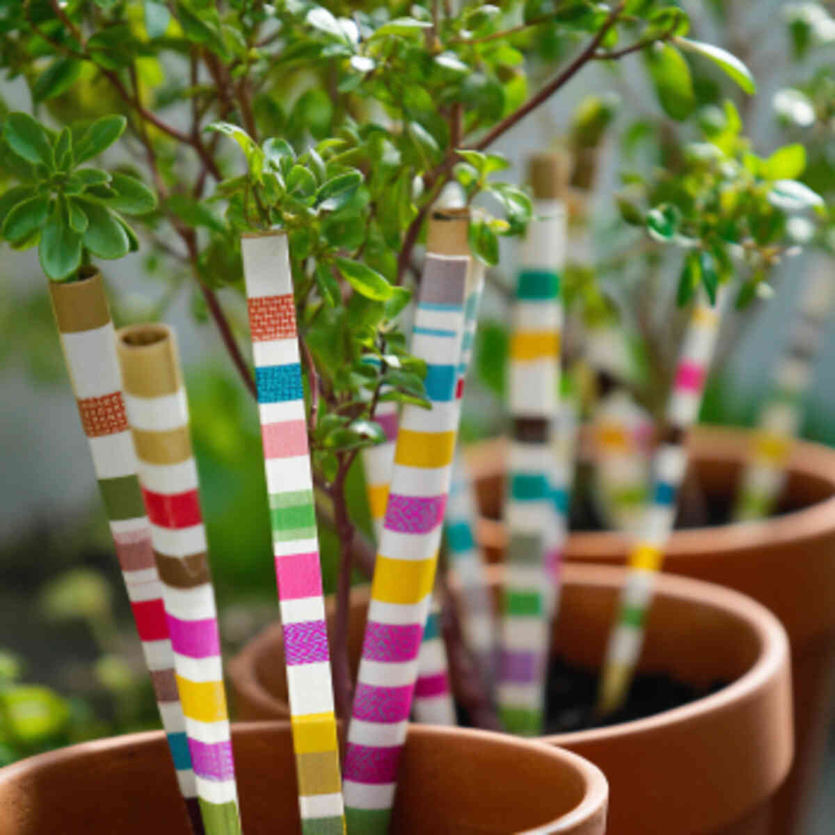 Washi Tape-Wrapped Sticks