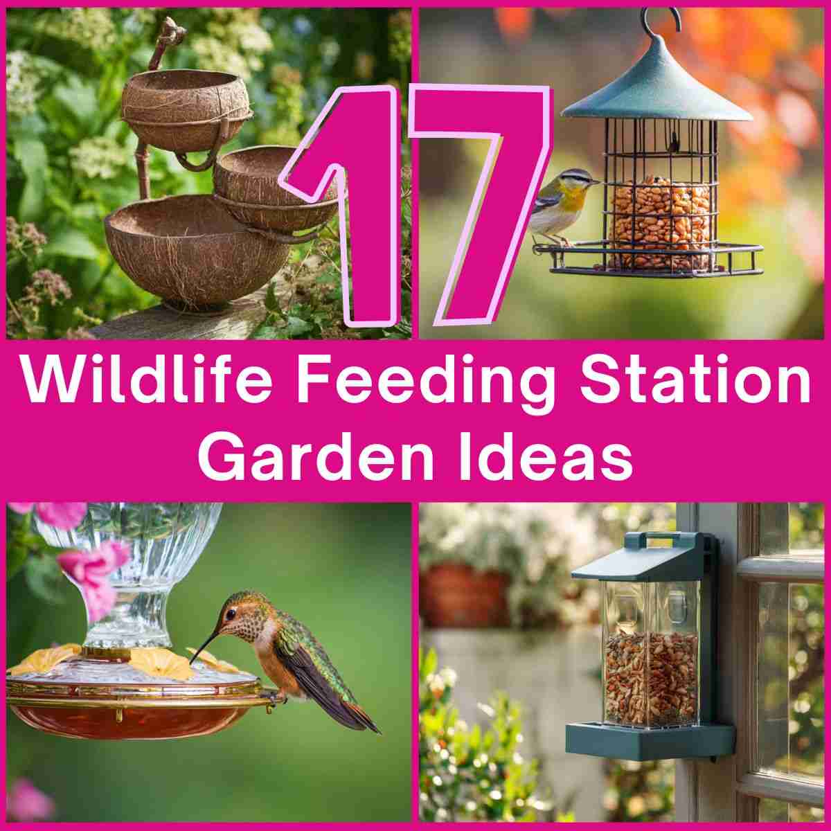 Wildlife Feeding Station Ideas