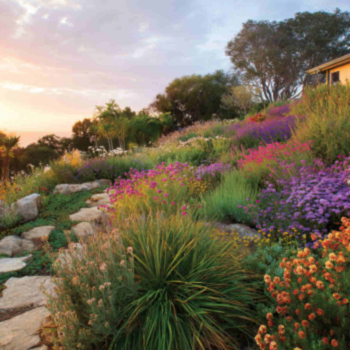 Wind-Tolerant Coastal Planting
