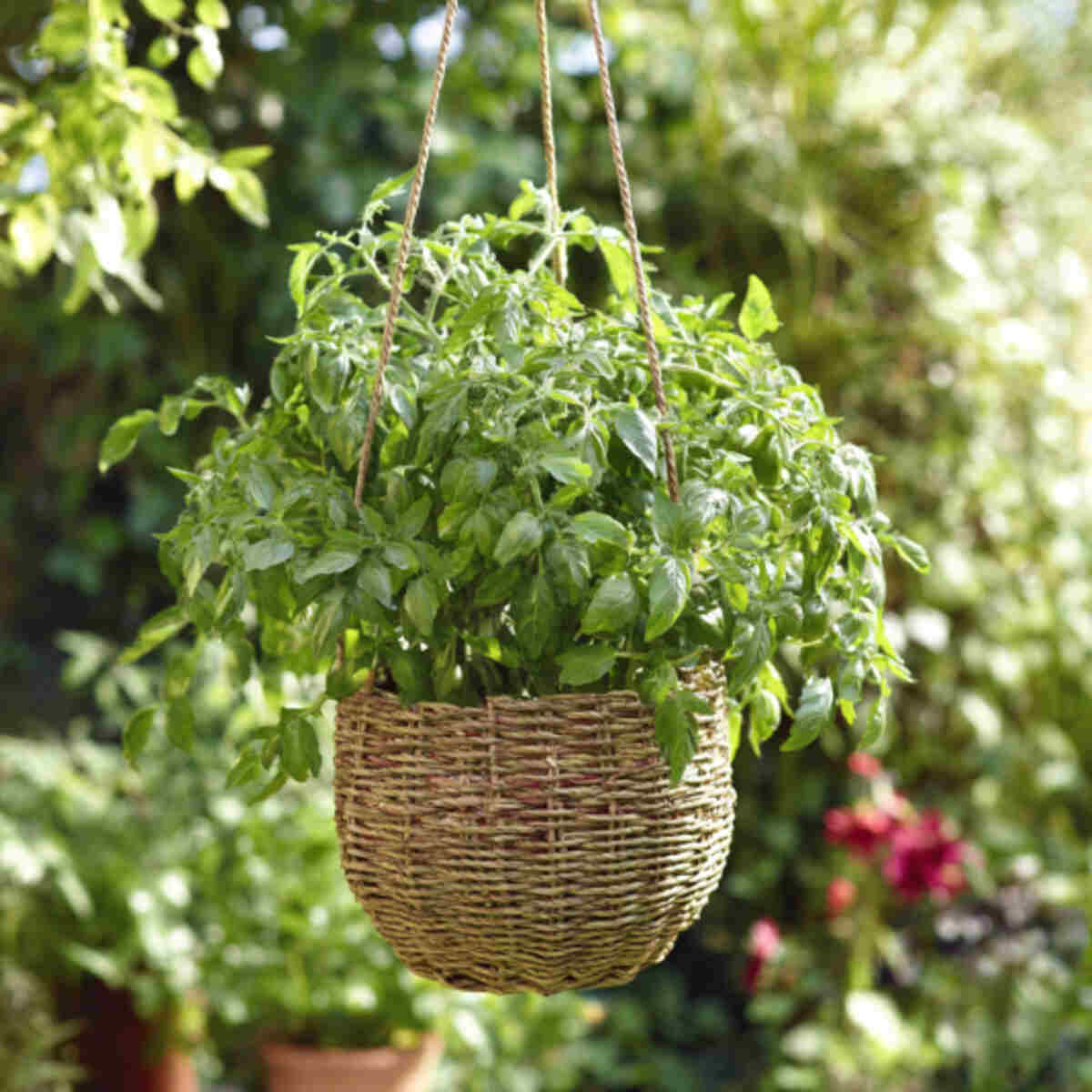 Woven Basket with Inner Pot Insert