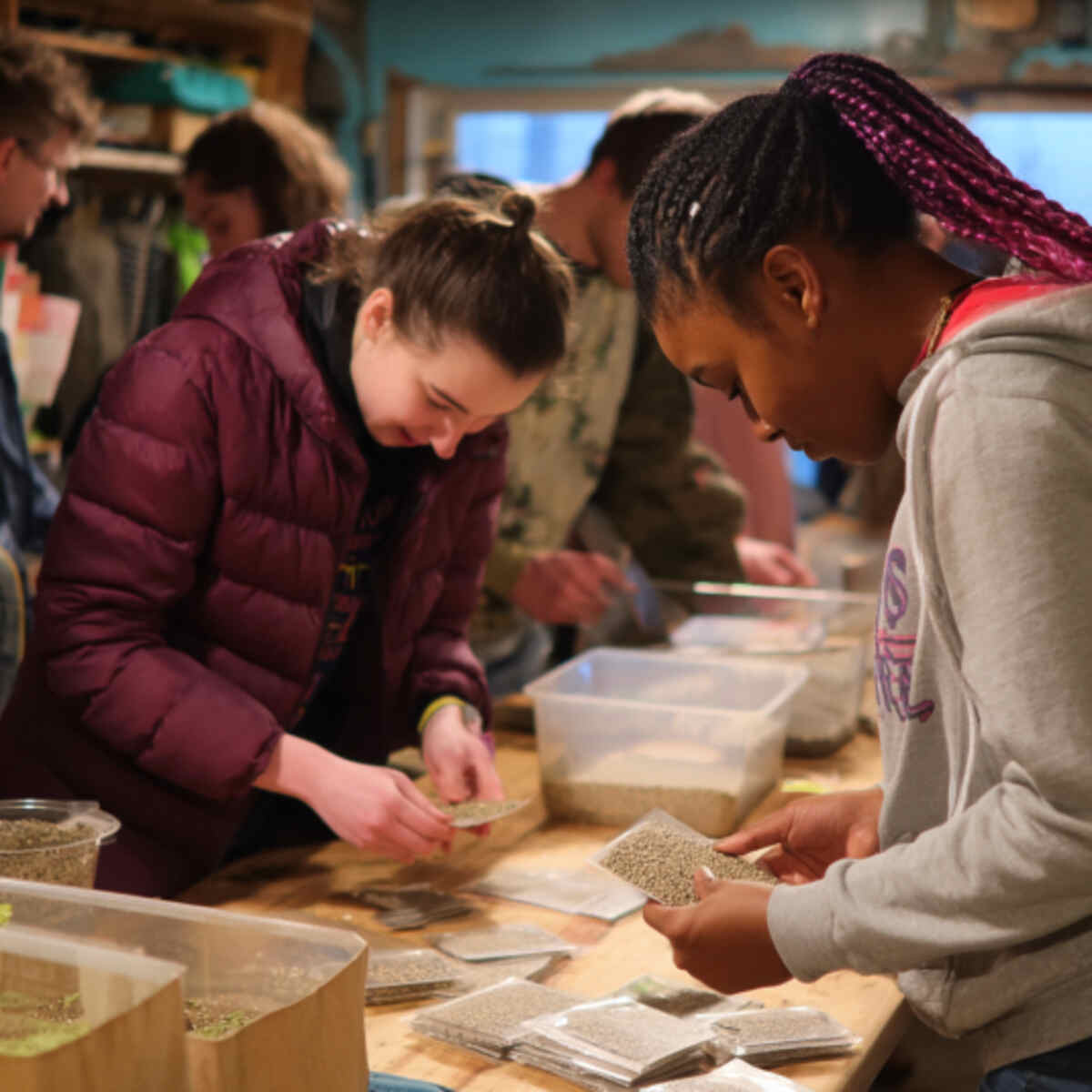 Youth Seed Swapping Workshop