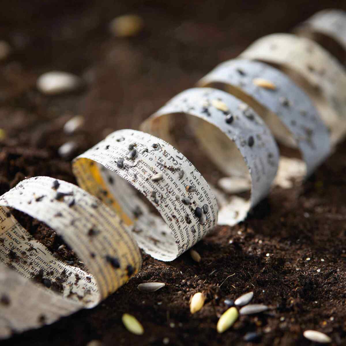 Newspaper Seed Tape