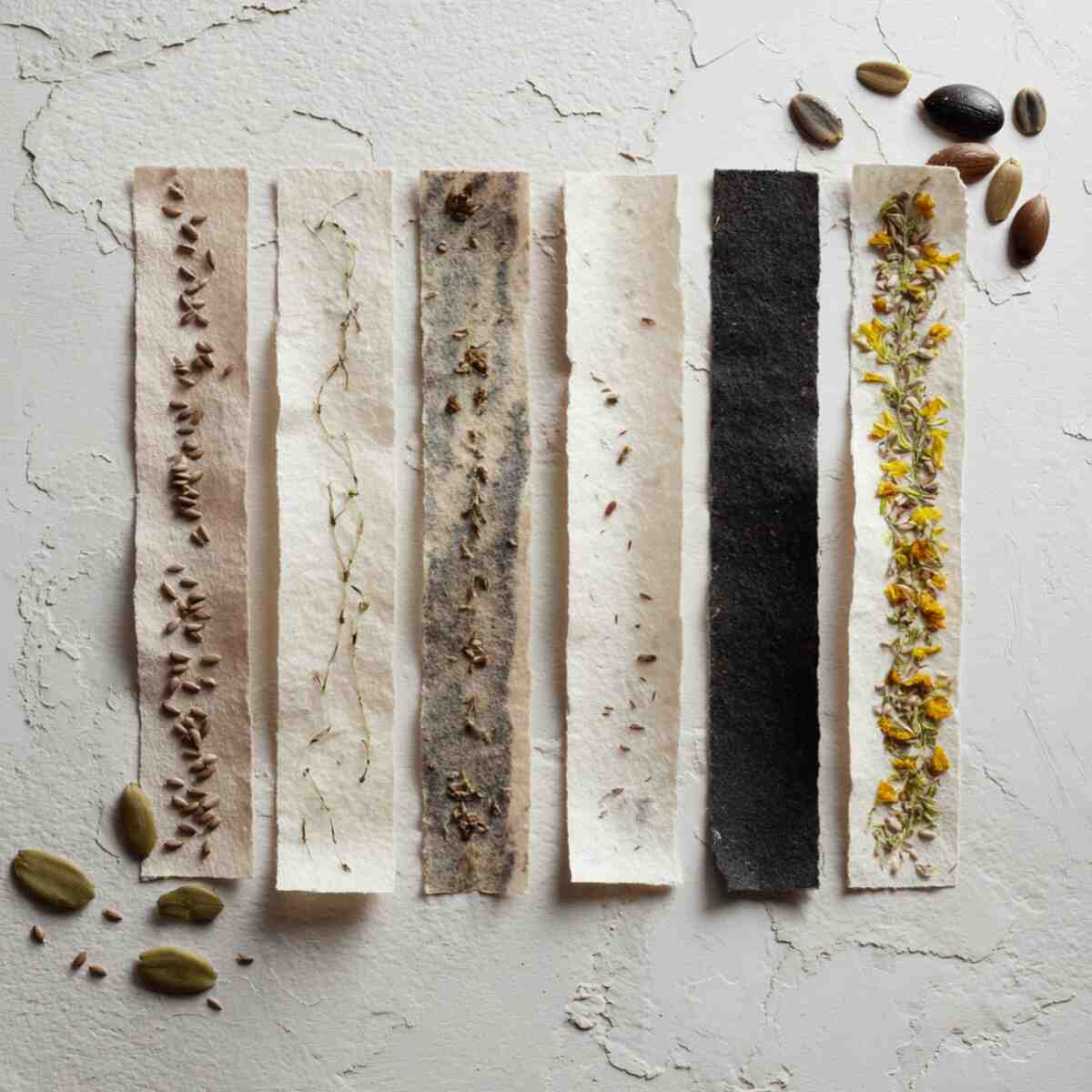 Handmade Paper Seed Tape