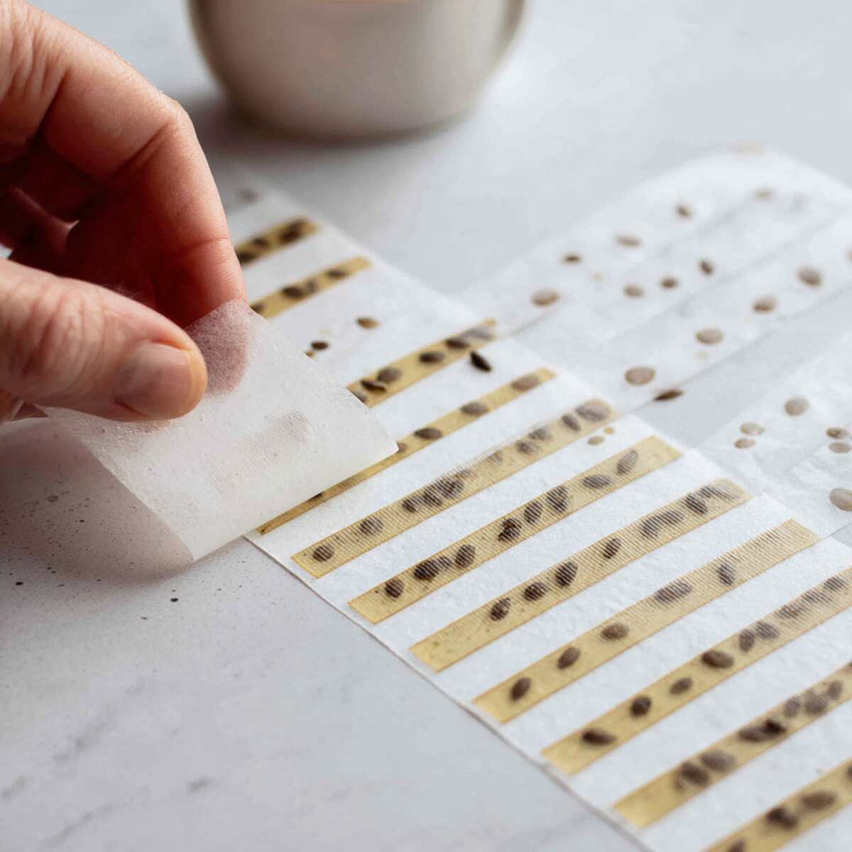 Glue Dot Seed Tape