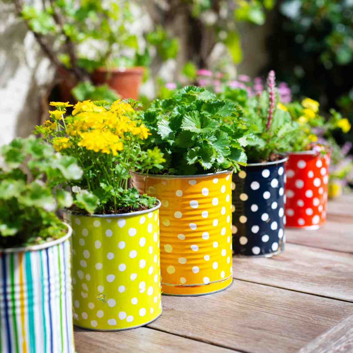 Polka Dot Painted Tin Can Planters