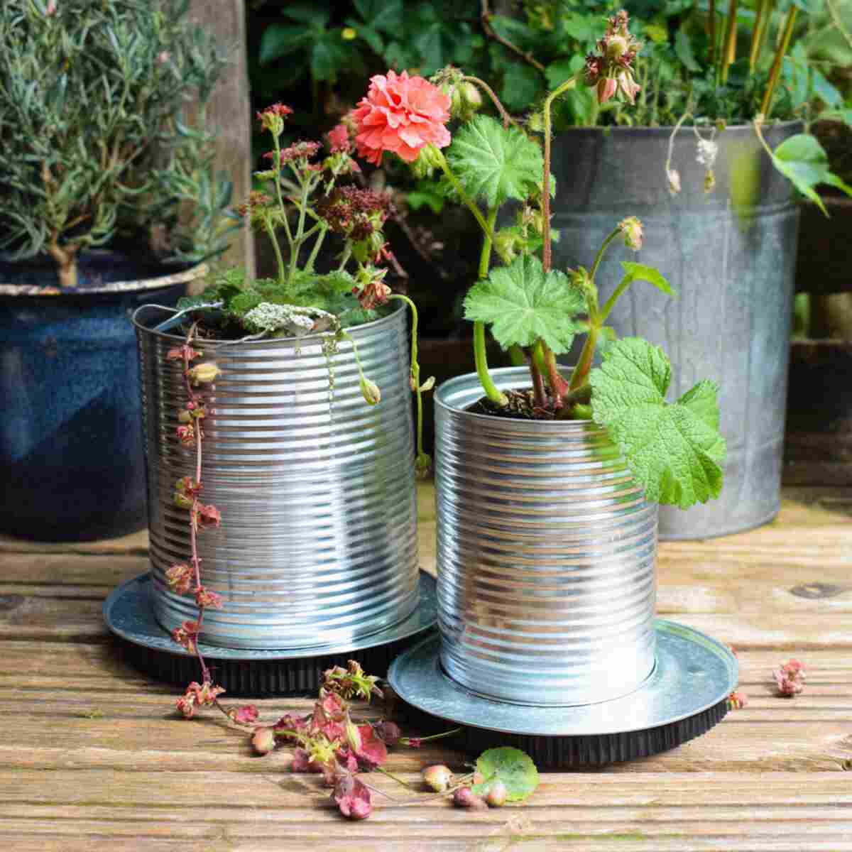 Tin Can Planters with Drip Tray Bases
