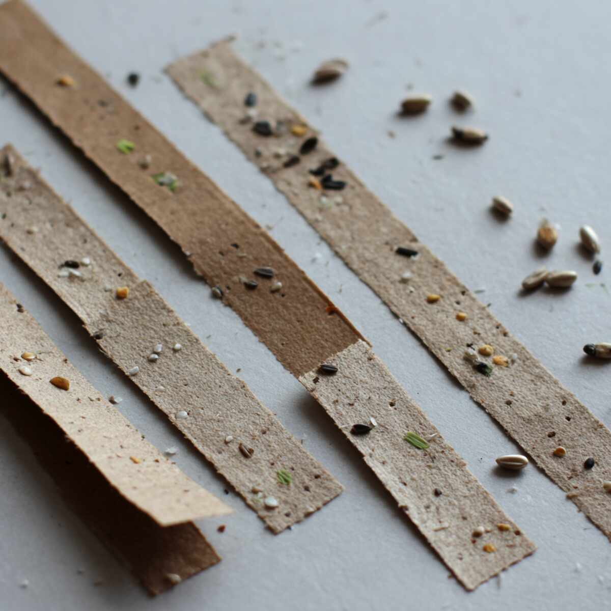 Cardboard Strip Seed Tape