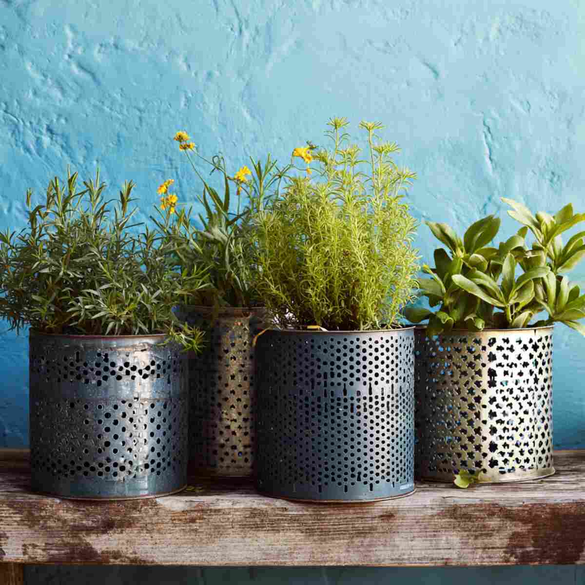 Tin Can Planters with Perforated Patterns for Drainage