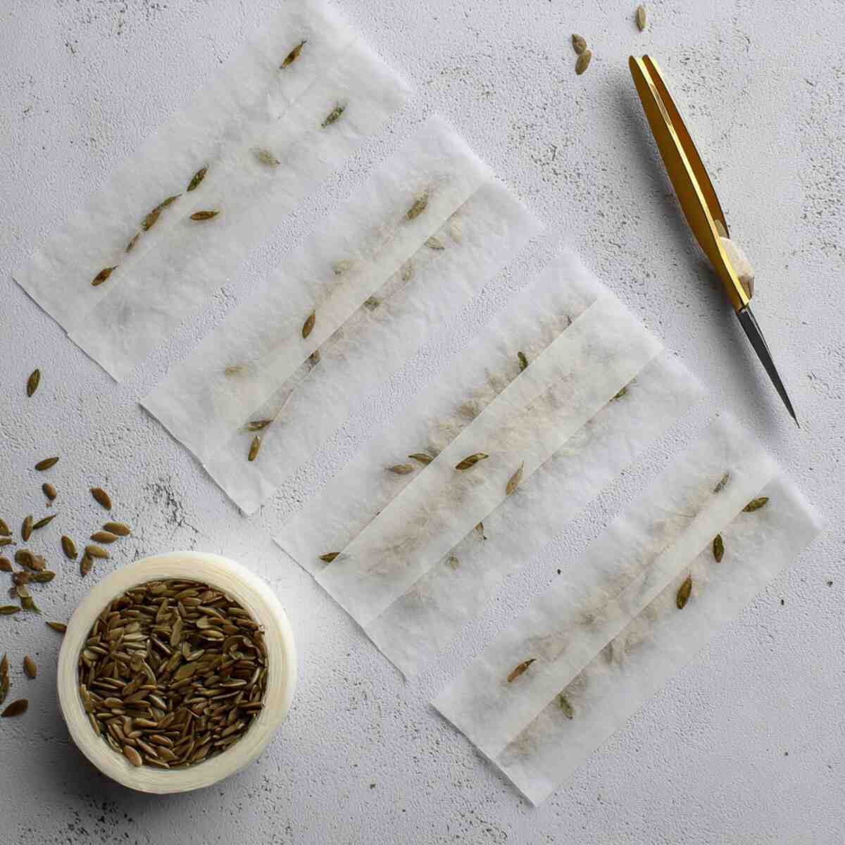 Wax Paper Seed Tape