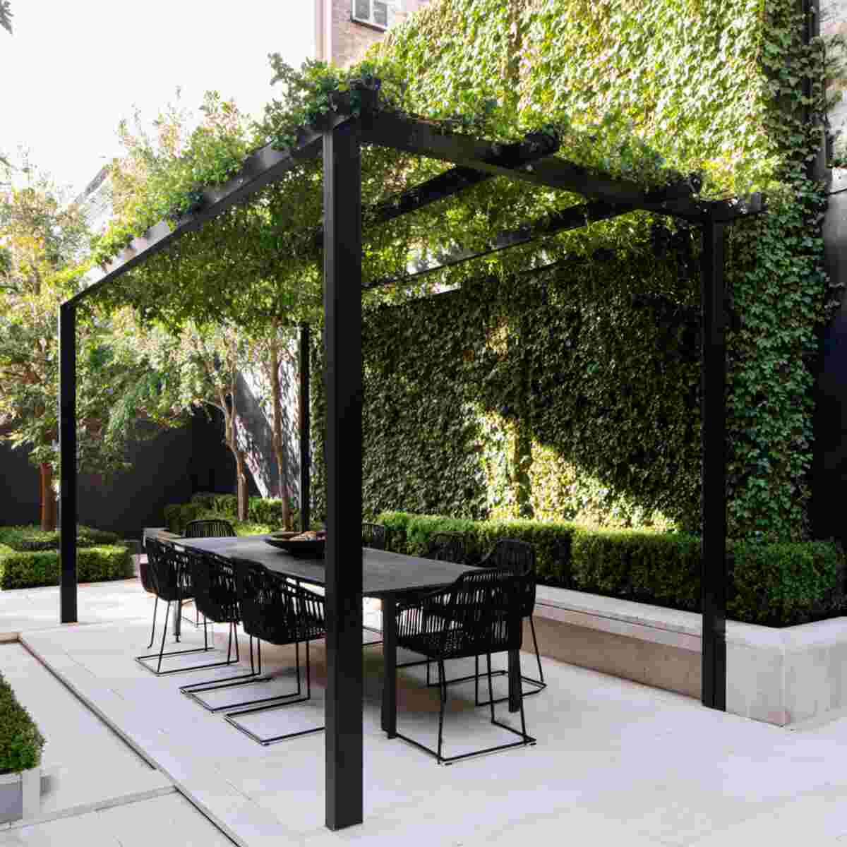 Minimalist Black Steel Pergola with Ivy